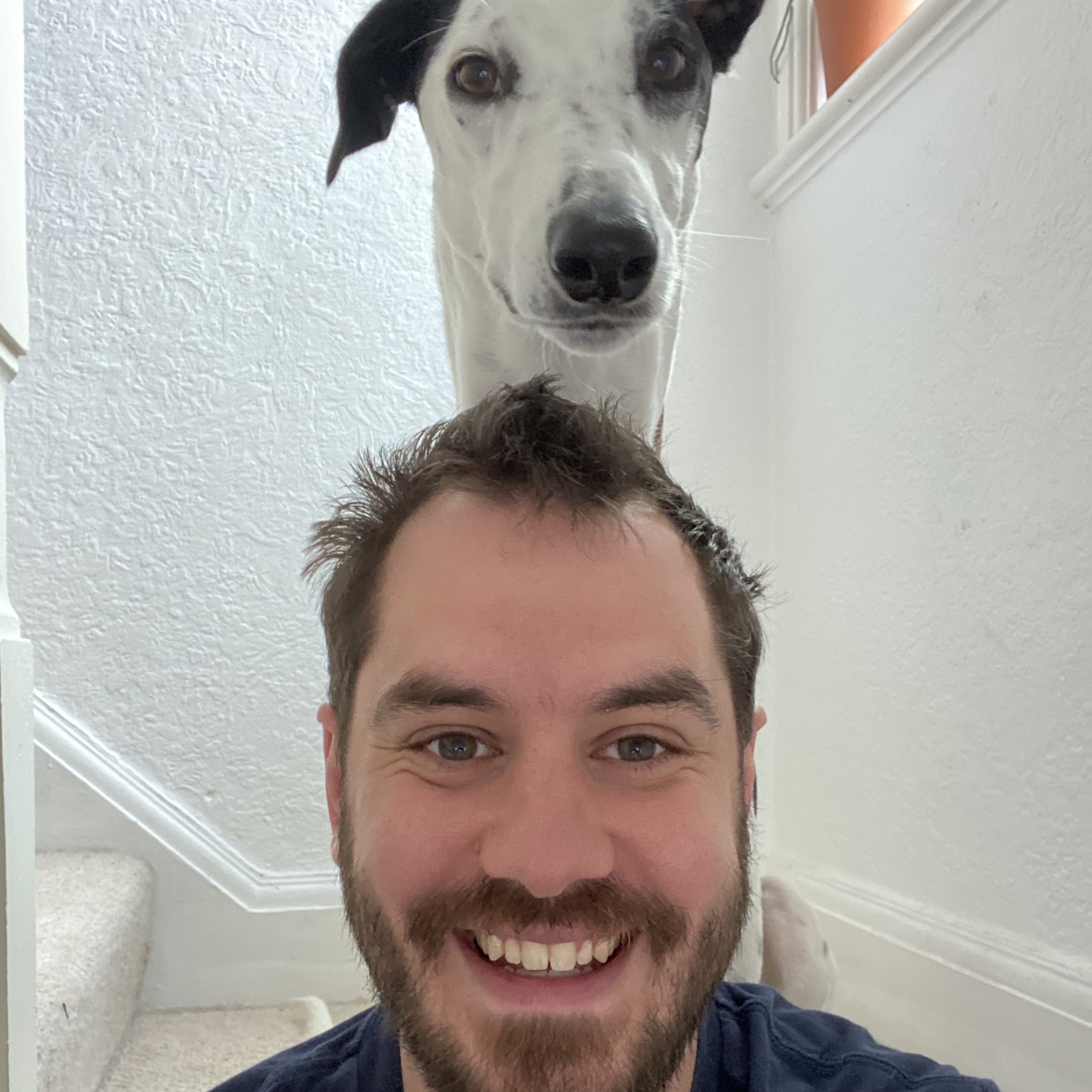 Embracing The Ecosystem The Vapor Blog